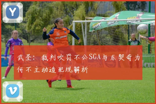 武圣：裁判吹罚不公SGA与东契奇为何不主动造犯规解析