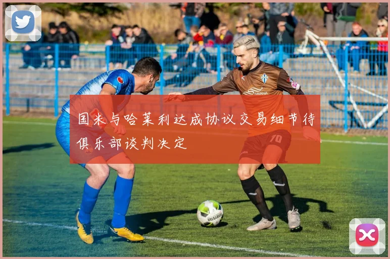 国米与哈莱利达成协议交易细节待俱乐部谈判决定